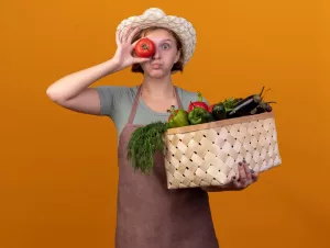 coffret gourmand végétarien